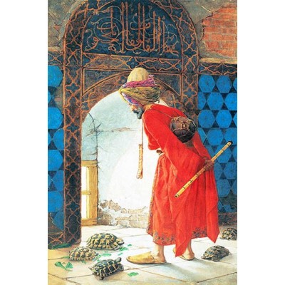 Kaplumbağa Terbiyecisi